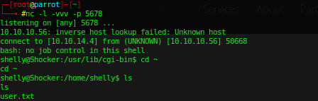 SS_PostExploit